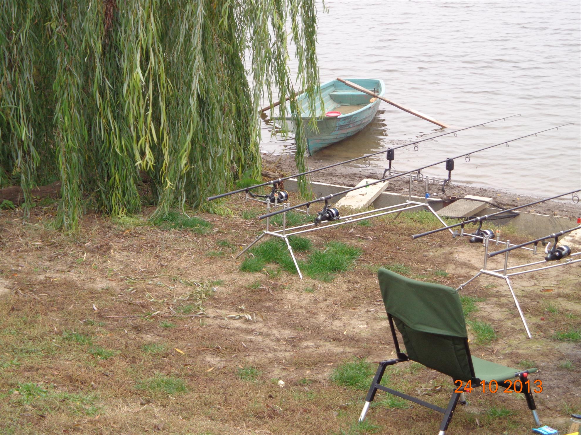 Carp mad - dsc01812.JPG